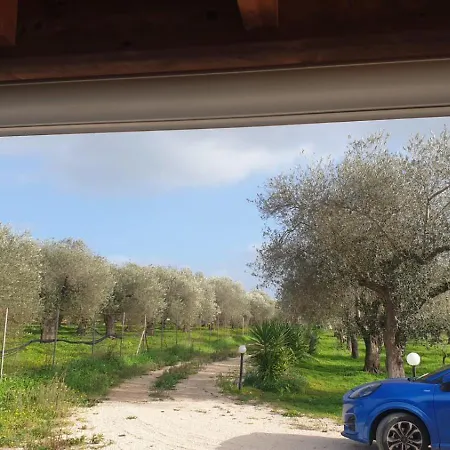 Bed & Breakfast Bingo Alghero