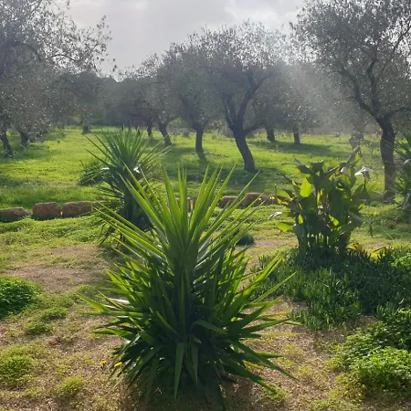 Bingo * アルゲーロ