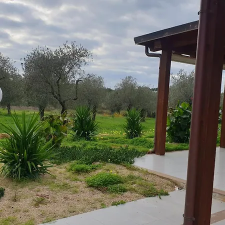 Bingo * アルゲーロ