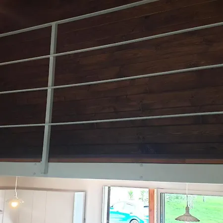 Bingo アルゲーロ