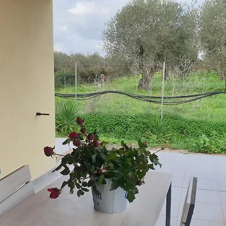 Bingo Bed & Breakfast Alghero