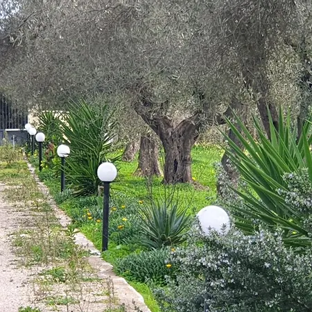 ベッド・アンド・ブレックファスト Bingo アルゲーロ