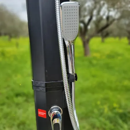 Bingo ベッド・アンド・ブレックファスト