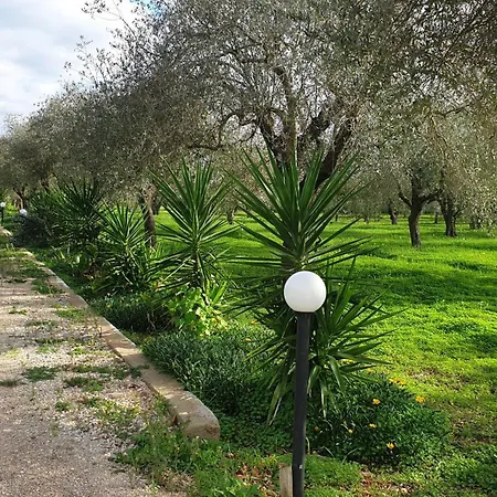 Bingo ベッド・アンド・ブレックファスト *