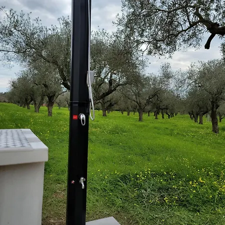 Bingo Bed & Breakfast Alghero