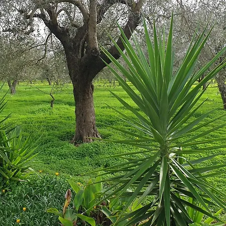 Bingo Bed & Breakfast *