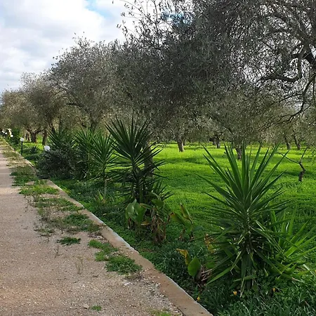 Bingo Bed & Breakfast Alghero