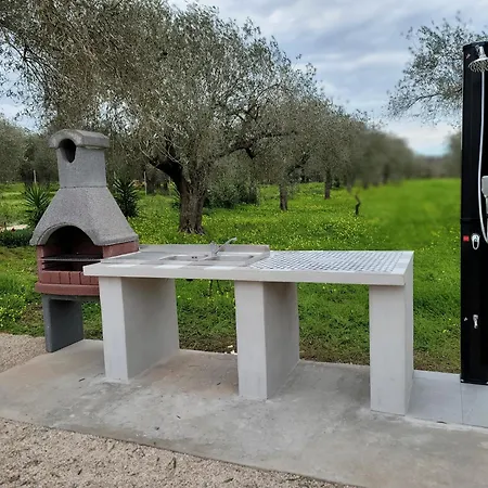 Bed & Breakfast Bingo Alghero