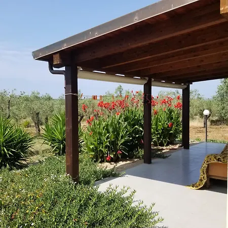 Bingo アルゲーロ