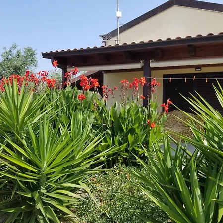 Bingo ベッド・アンド・ブレックファスト