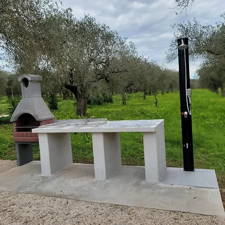 Bingo Bed & Breakfast Alghero