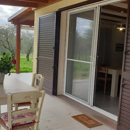 Bed & Breakfast Bingo Alghero