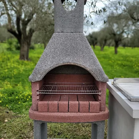 Bed & Breakfast Bingo Alghero