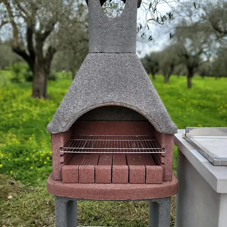 Bed & Breakfast Bingo Alghero