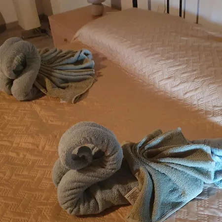 Bingo Bed & Breakfast