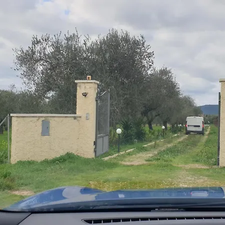 Bed & Breakfast Bingo