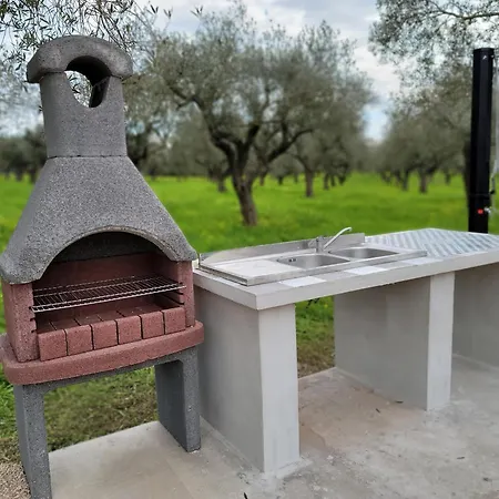 Bingo Bed & Breakfast *