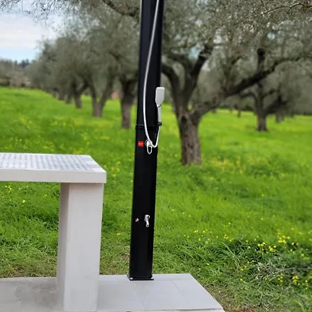 Bed & Breakfast Bingo Alghero