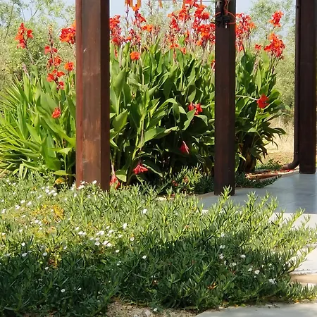 Bingo לינה וארוחת בוקר