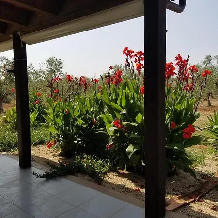 Bed & Breakfast Bingo