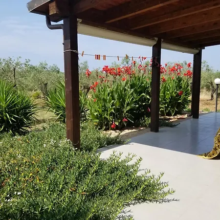 Bingo Bed & Breakfast *