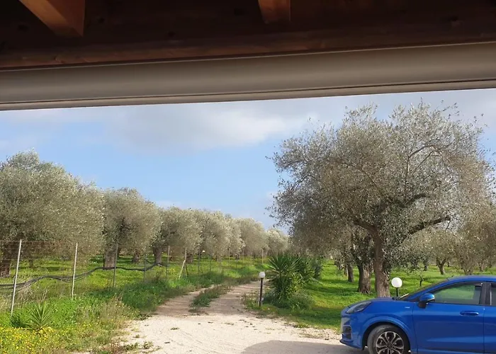 Oda ve Kahvaltı Bingo Alghero