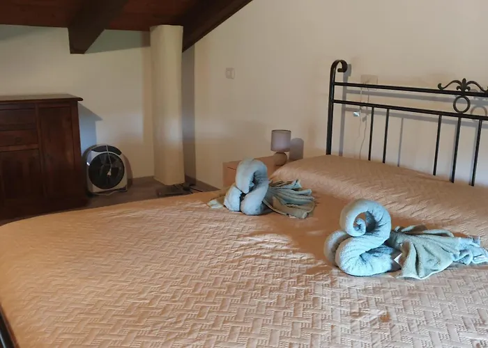 Bingo Oda ve Kahvaltı *