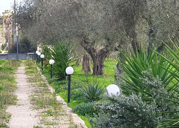 Oda ve Kahvaltı Bingo Alghero