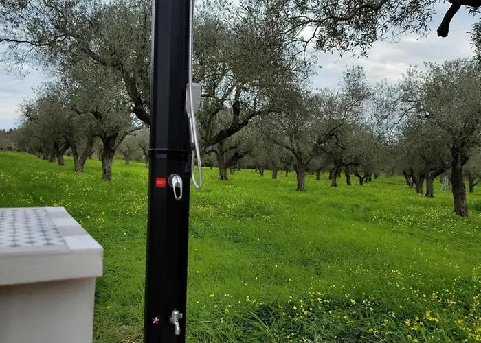 Bingo Oda ve Kahvaltı Alghero