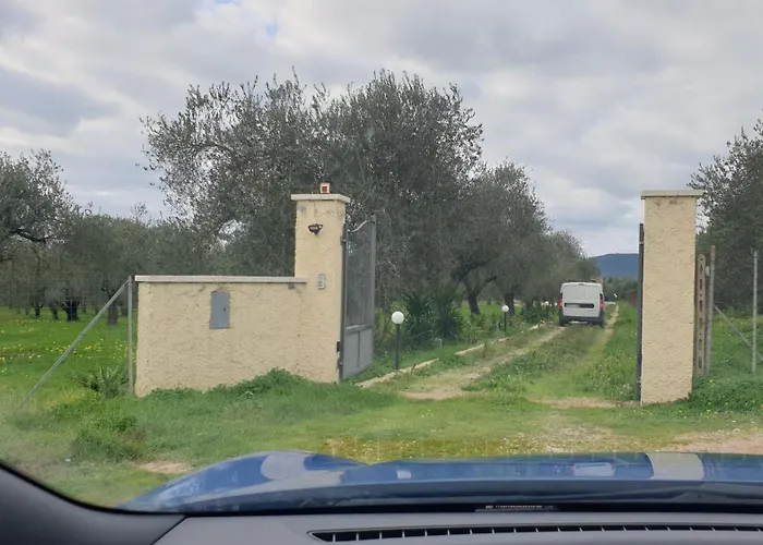 Oda ve Kahvaltı Bingo