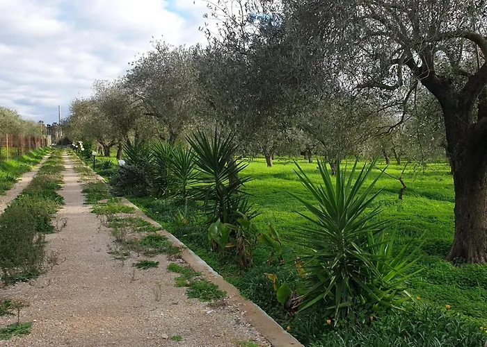 Bingo Oda ve Kahvaltı Alghero