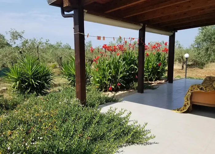 Bingo Oda ve Kahvaltı *