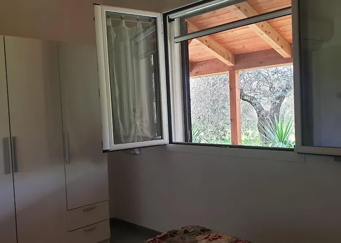 Bed and breakfast Bingo