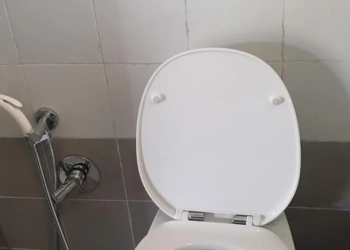 Bingo Bed and breakfast *