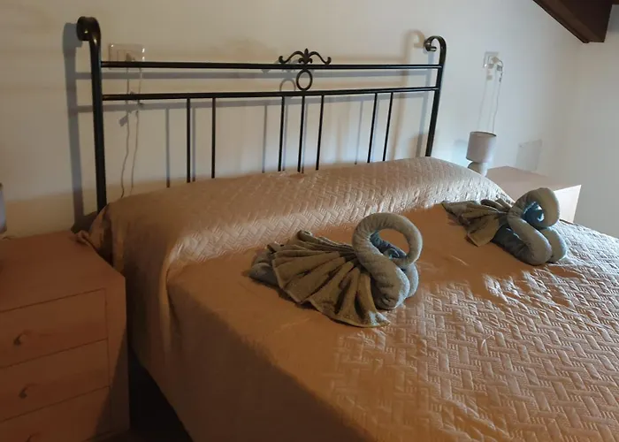 Bed and breakfast Bingo