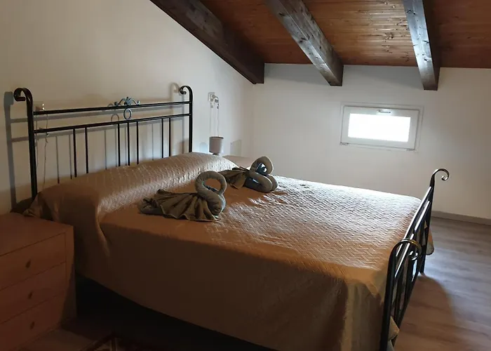 Bed and breakfast Bingo