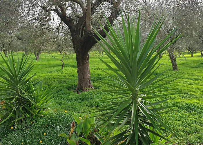 Bingo Bed and breakfast *