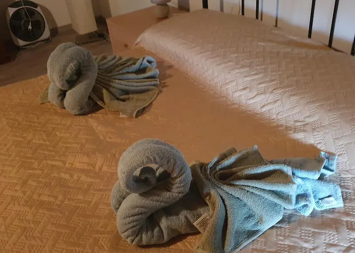 Bingo Bed and breakfast