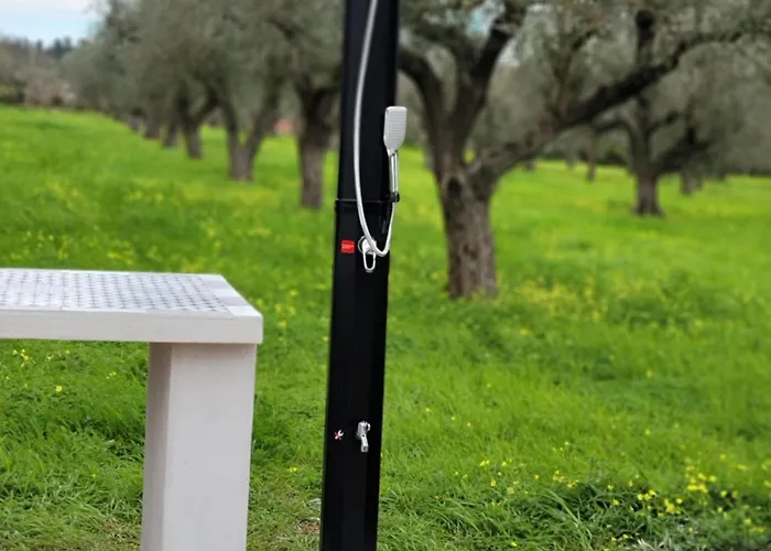 Bed and breakfast Bingo Alguer