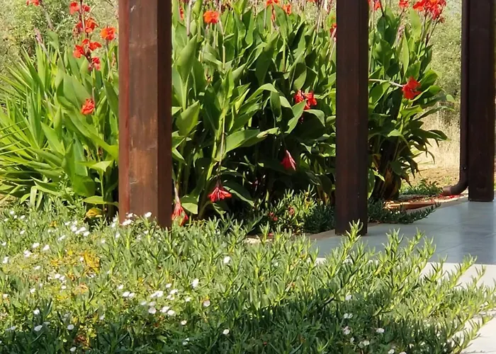 Bingo Bed and breakfast