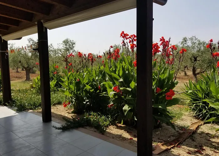 Bed and breakfast Bingo