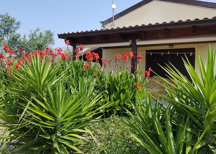 Bingo Bed and breakfast